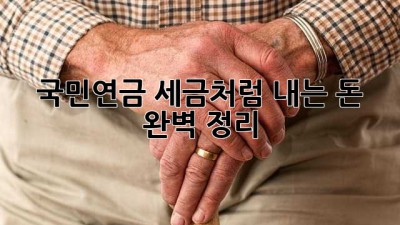 국민연금, 세금처럼 내는 돈?! 완벽 정리