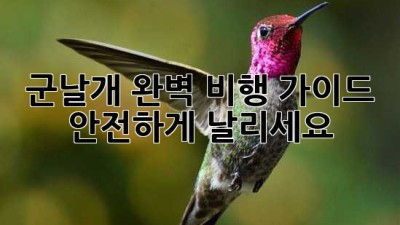 군날개 완벽 비행 가이드: 안전하게 날리세요!